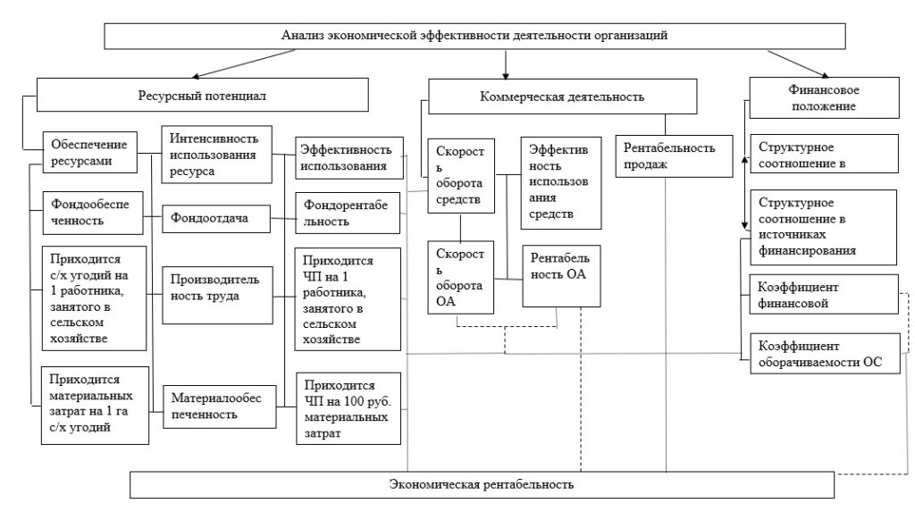 Экономическая деятельность схема