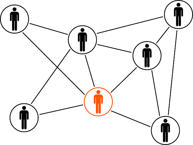 Управление трудовыми ресурсами и управление персоналом предприятия: взаимосвязь и отличия