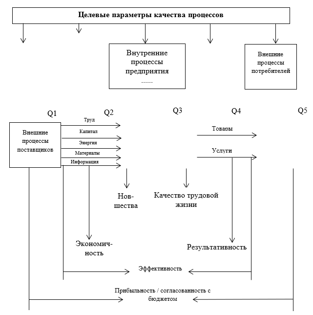 Схема создания ценности организации с целевыми (Q1….Q5) и относительными критериями качества процессов